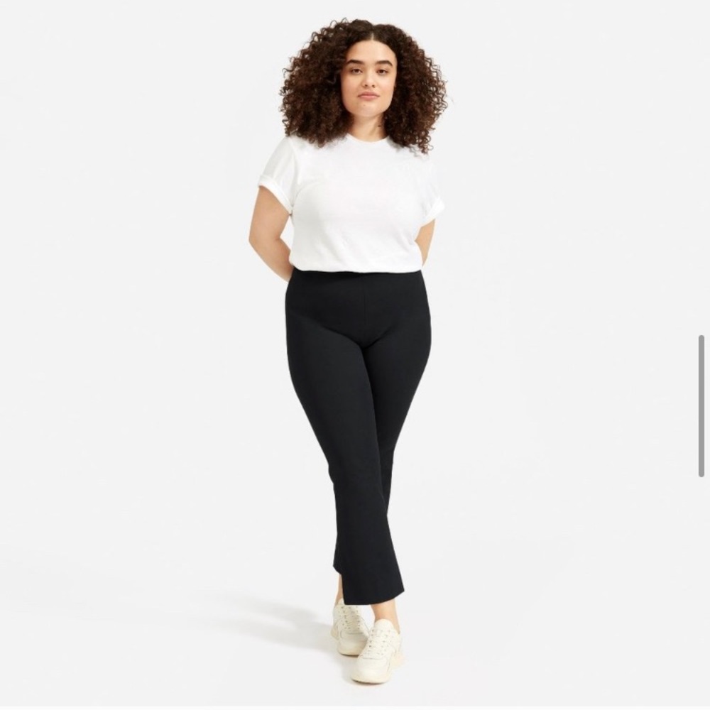 Everlane The Kick Crop Side Zip Elastic Work Pant